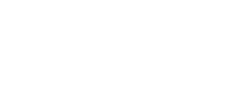 Epic Turf Authorized Dealer 12